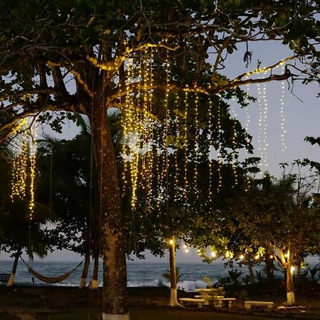 Ocean View Lodge Cahuita Exterior foto